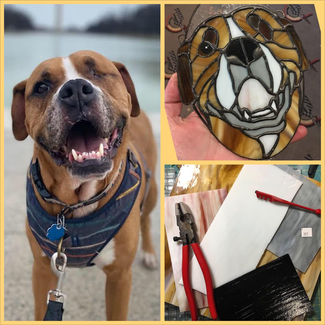 Custom Stained Glass Pet Portrait From Photos